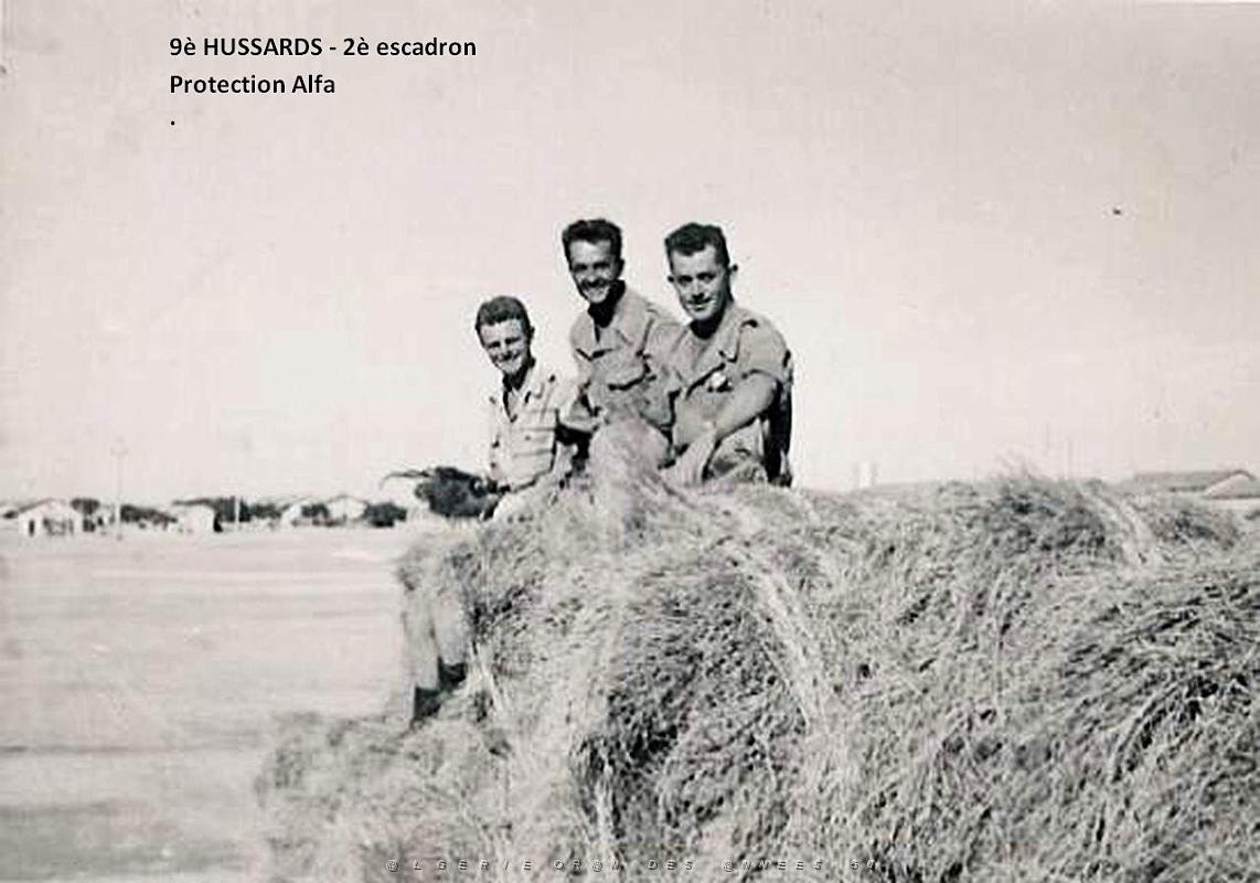 ALFA 1_2.jpg